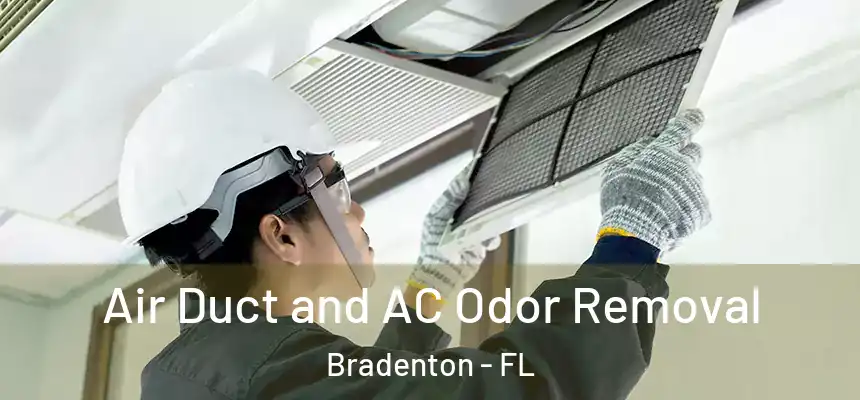Air Duct and AC Odor Removal Bradenton - FL