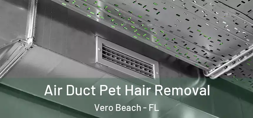  Air Duct Pet Hair Removal Vero Beach - FL