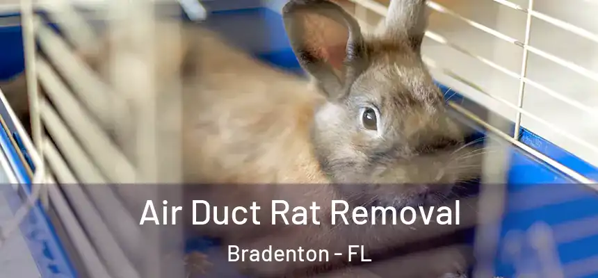 Air Duct Rat Removal Bradenton - FL