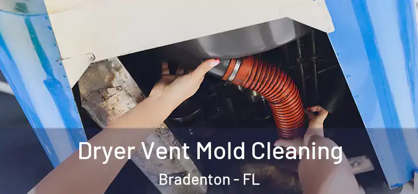 Dryer Vent Mold Cleaning Bradenton - FL