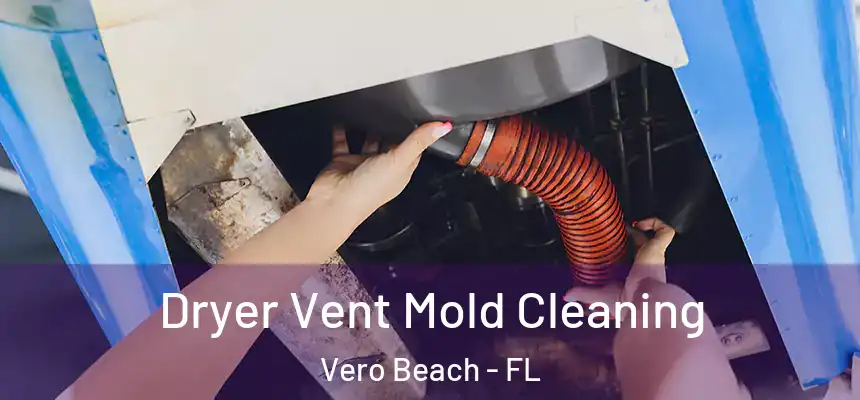  Dryer Vent Mold Cleaning Vero Beach - FL