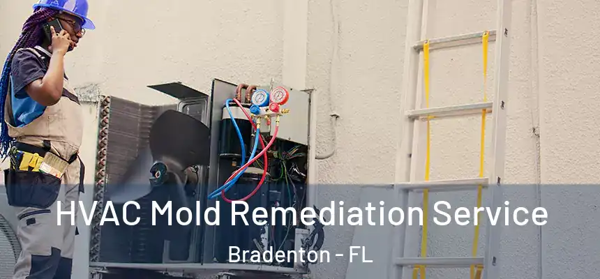 HVAC Mold Remediation Service Bradenton - FL