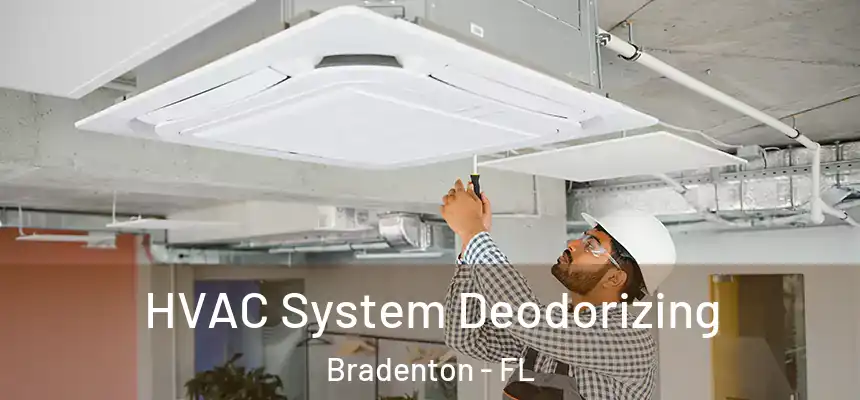  HVAC System Deodorizing Bradenton - FL