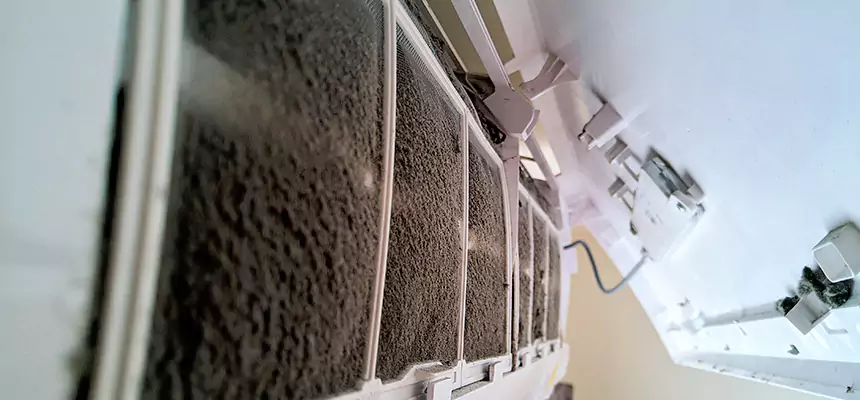 Preventive Air Duct Bacteria Removal in Bradenton