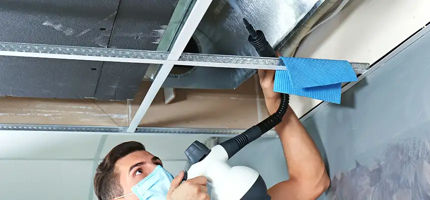 Our Air Duct Rodent Removal Services in Bradenton, FL