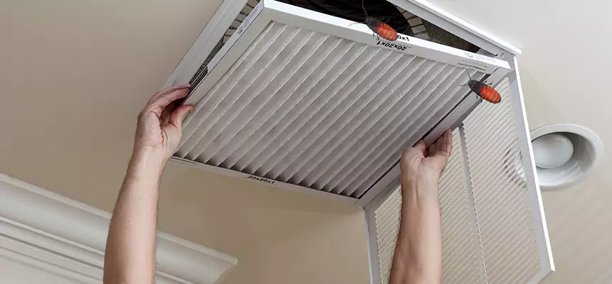 Our Insect Removal from Air Ducts Services in Bradenton, FL
