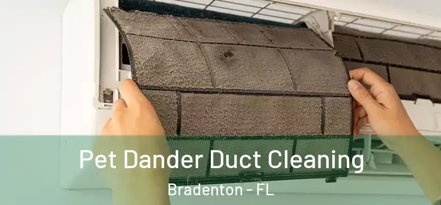 Pet Dander Duct Cleaning Bradenton - FL