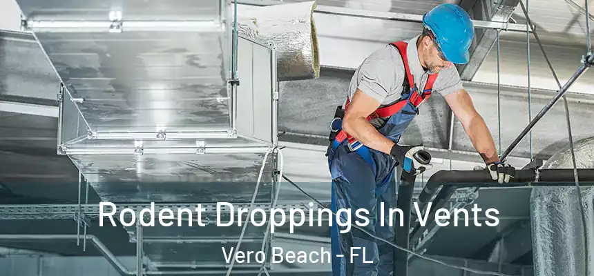 Rodent Droppings In Vents Vero Beach - FL