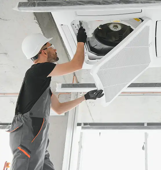 About Air Duct Rodent Removal in Bradenton, FL