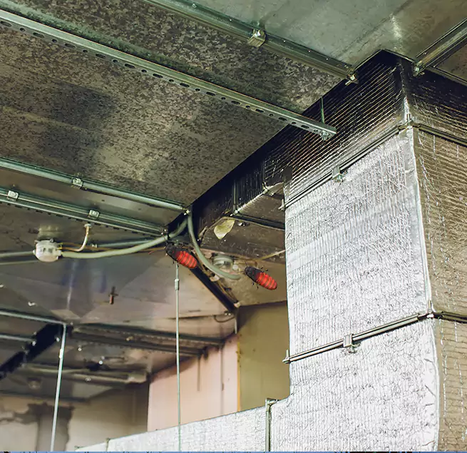 Why Homeowners & Businesses Trust Us in Bradenton, FL?