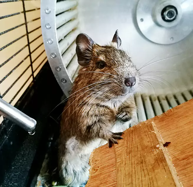 Why Homeowners & Businesses Trust Us Bradenton, FL