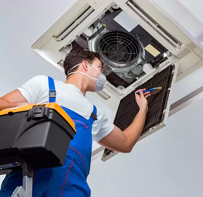 Why Homeowners & Businesses Trust Us in Bradenton, FL