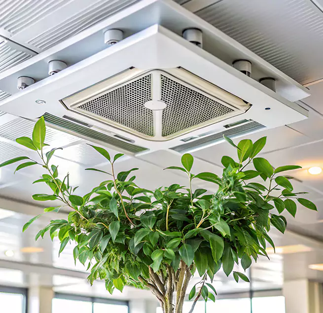 Why Homeowners & Businesses Trust Us in Vero Beach, FL