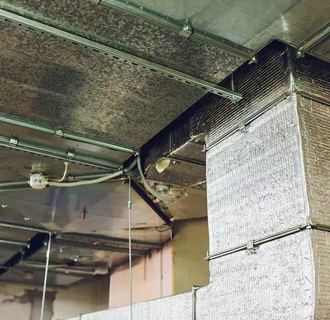 Why Homeowners & Businesses Trust Us in Vero Beach, FL?