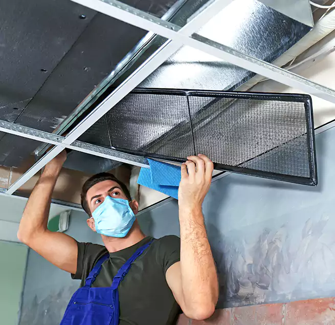 Why Homeowners Businesses Trust Us in Vero Beach, FL